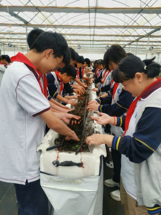 C:\Users\Administrator.PC-20220830WWQA\AppData\Local\Temp\Rar$DIa7708.30717\七（4）学生在草莓大棚学习.jpg