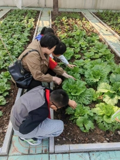 6-2退休党员参与学生劳动教育4