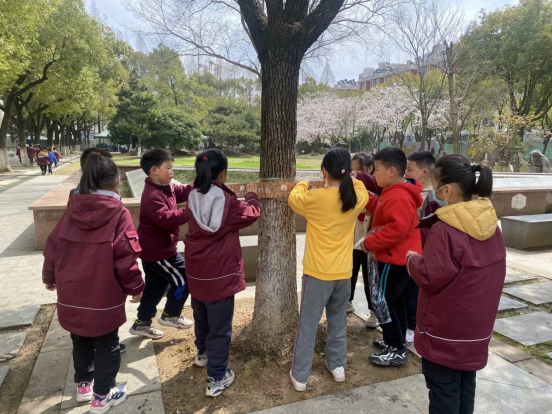 图片 15