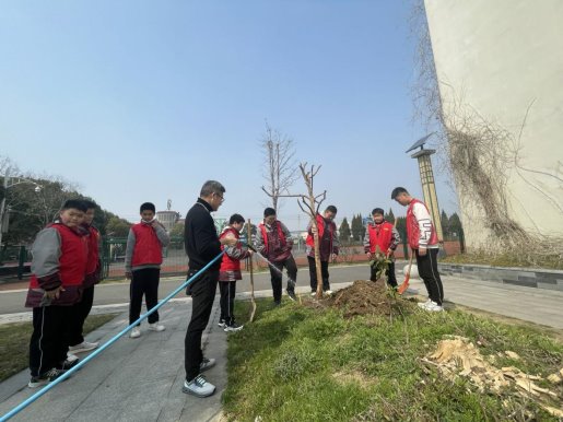 图片7