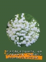 MEITU_20240913_103650496
