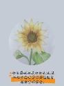 MEITU_20240913_104414876