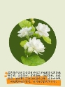MEITU_20240913_102905375