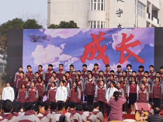 图片13
