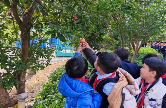 2781c7a850a3ecb724e2feeb5f436a37