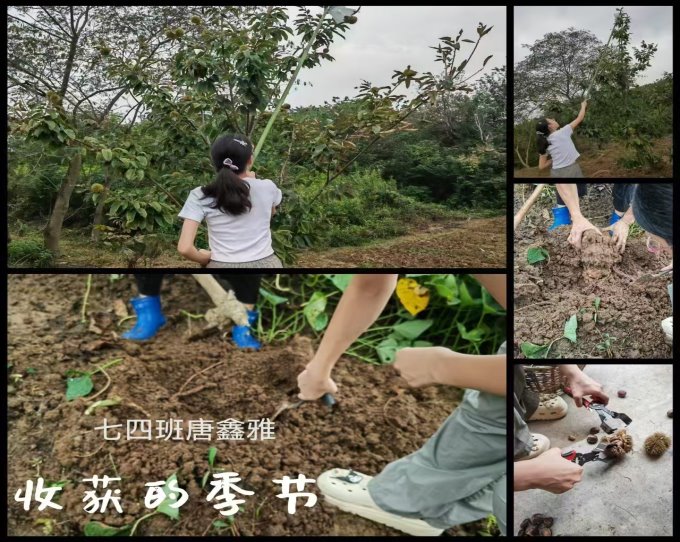 3fd274d2ef643425949a585f7b5e421