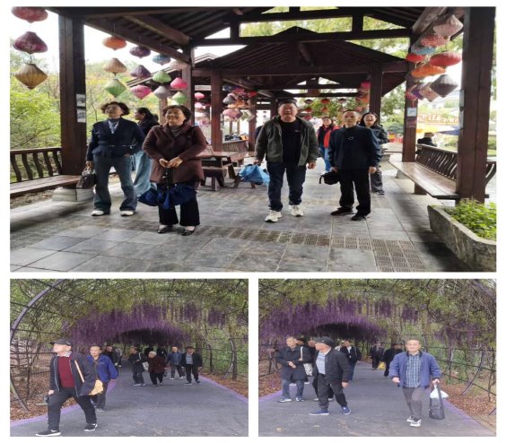 微信图片_20251031074515_13_3