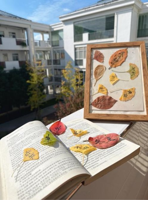 微信图片_20251124095020_30_78