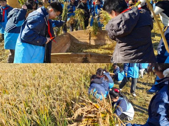 f55e0688da4d8e4919fcaed079a0809b