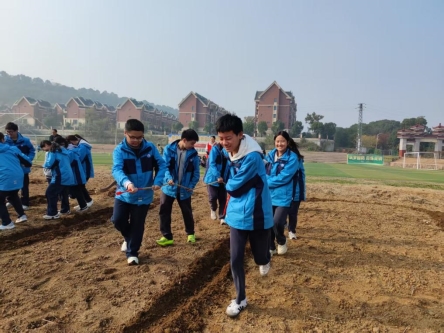 微信图片_20251121123956_17_43