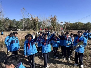 微信图片_20251121111919_77_2