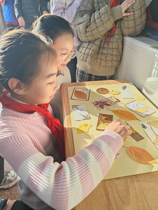 04E63EB71FF877711BEB0A031AAA7A0F