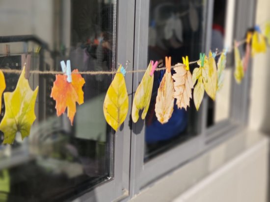 D96EDC86F9EE52D9701E60A5B340C458