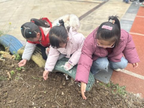 IMG_8014(20260305-114629)