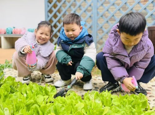 A997C8D2B76CC1C0B98DE3D14934DA5B