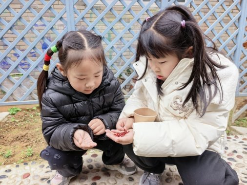 36FB025D2B541FA9D067D7C2F7E15705