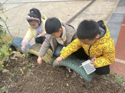 IMG_8015(20260305-114630)