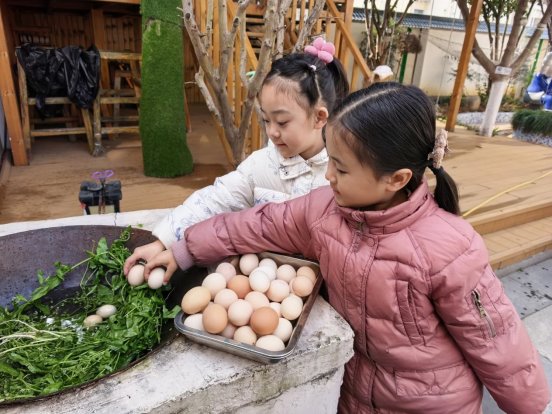 mmexport1773294958705