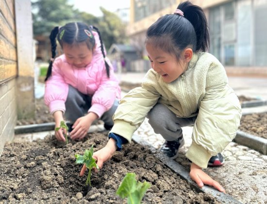 Image_1773300302567_598_edit_1630002041829815