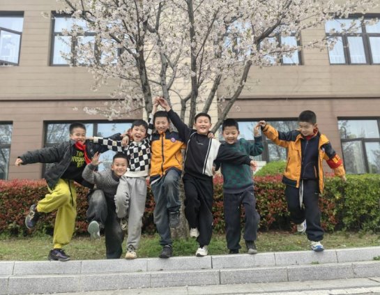 一粒麦子_2026-04-17 09.15.26_picture-0_01